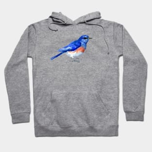 Blue bird Hoodie